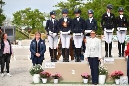 Demi podium