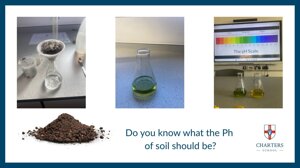 Soil