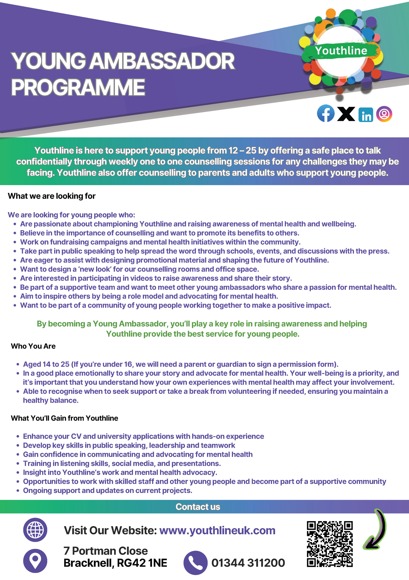 Young Ambassador Programme