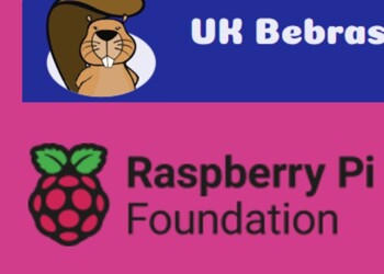 2025 Bebras Computational Thinking Challenge