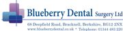 Blueberry Logo with Address