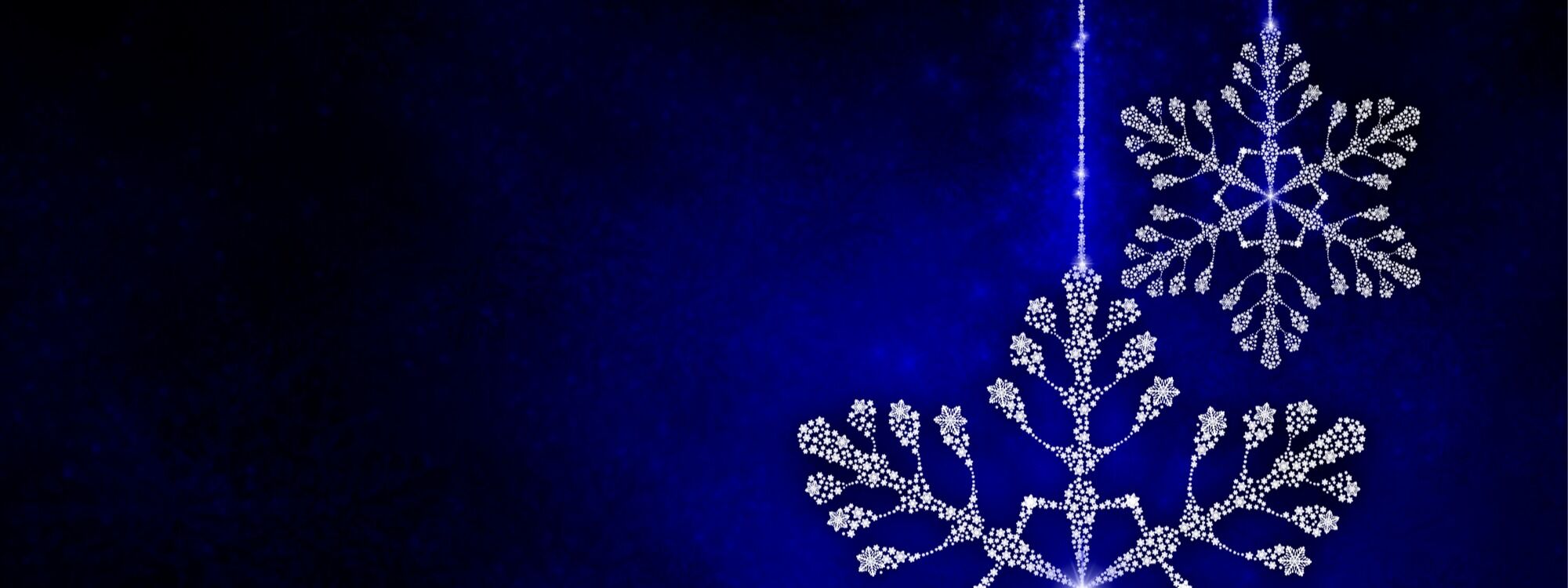 Newsletter page header  (1)