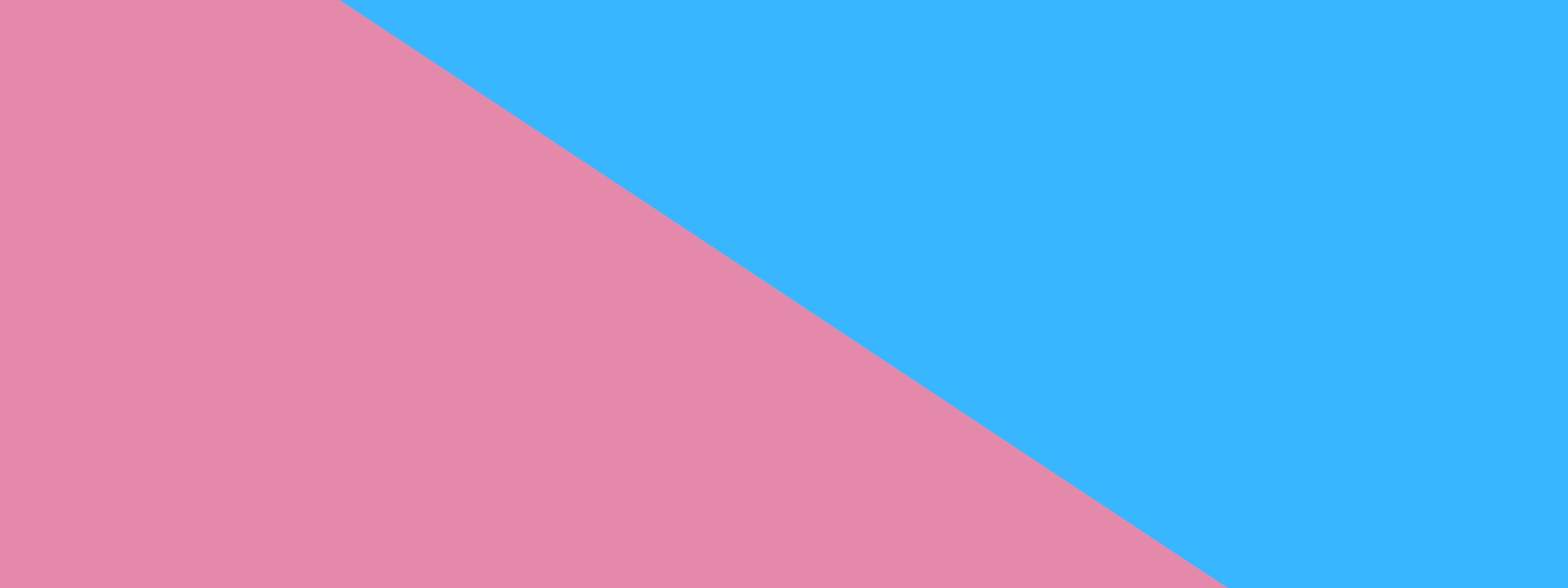 Newsletter page header  (10)