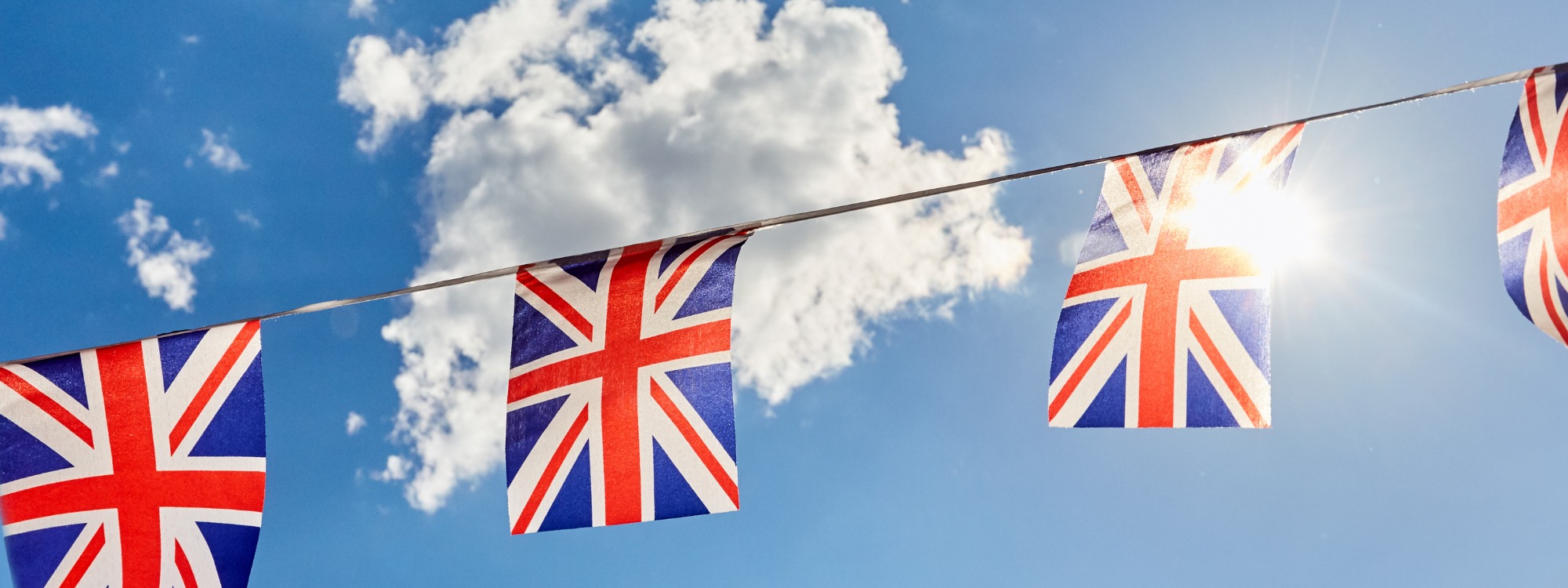 Newsletter page header  (2)