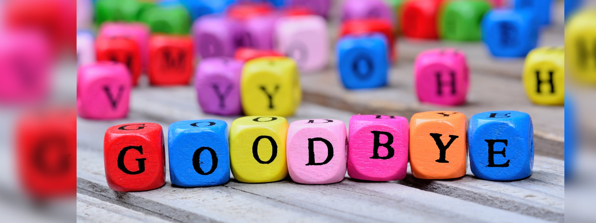 Newsletter page header  (5)