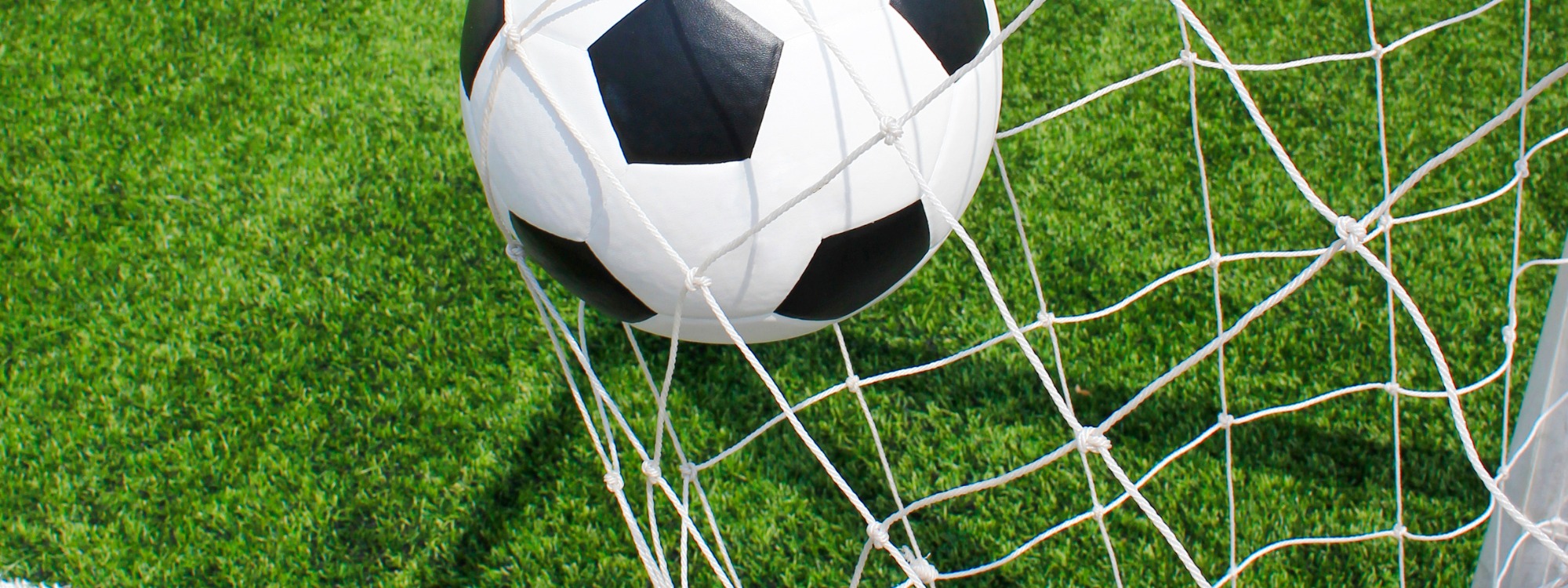 Newsletter page header  (7)