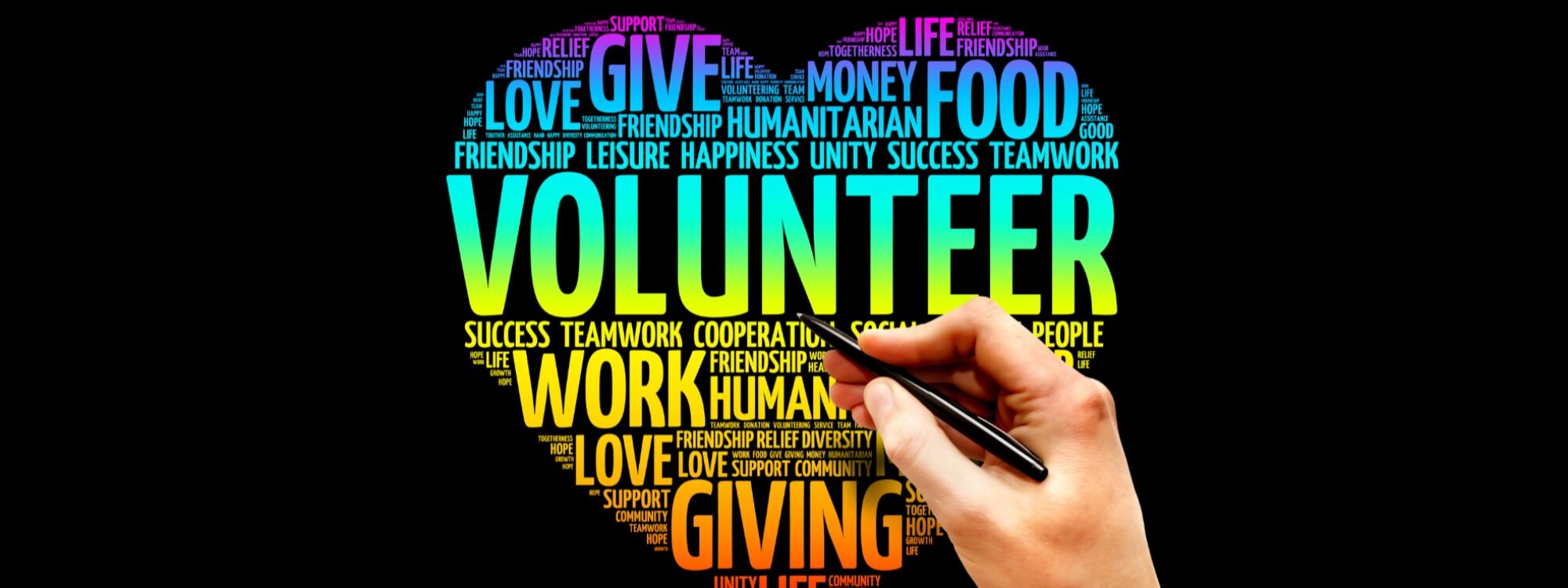 Newsletter page header  (11)