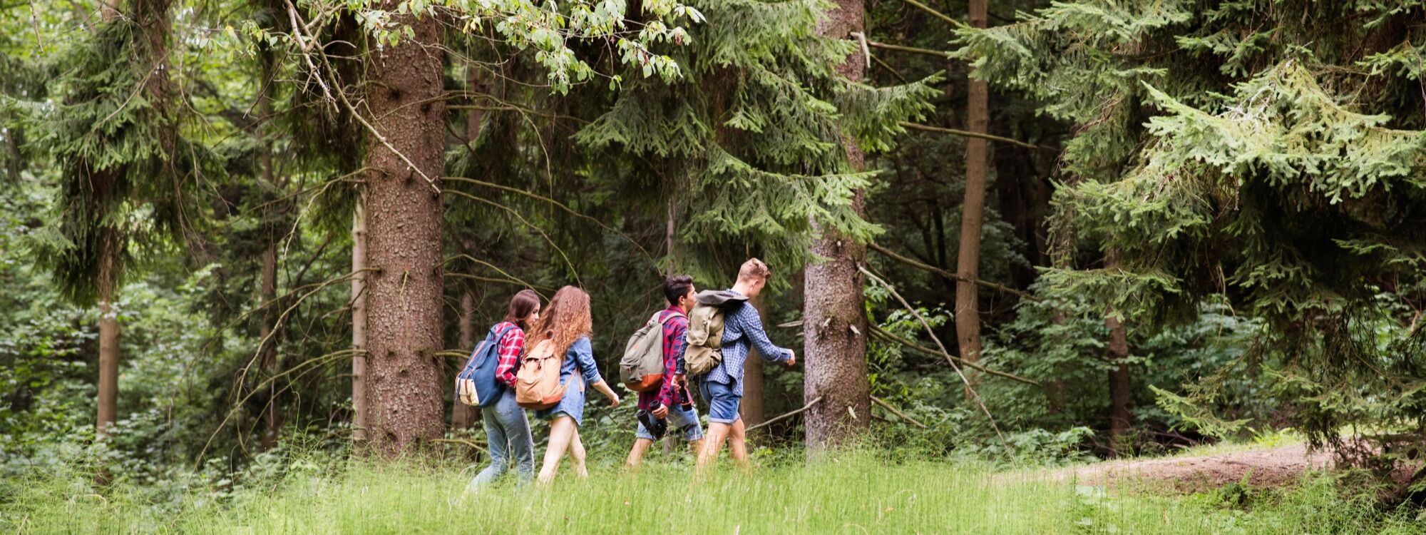  Newsletter page header  (1)