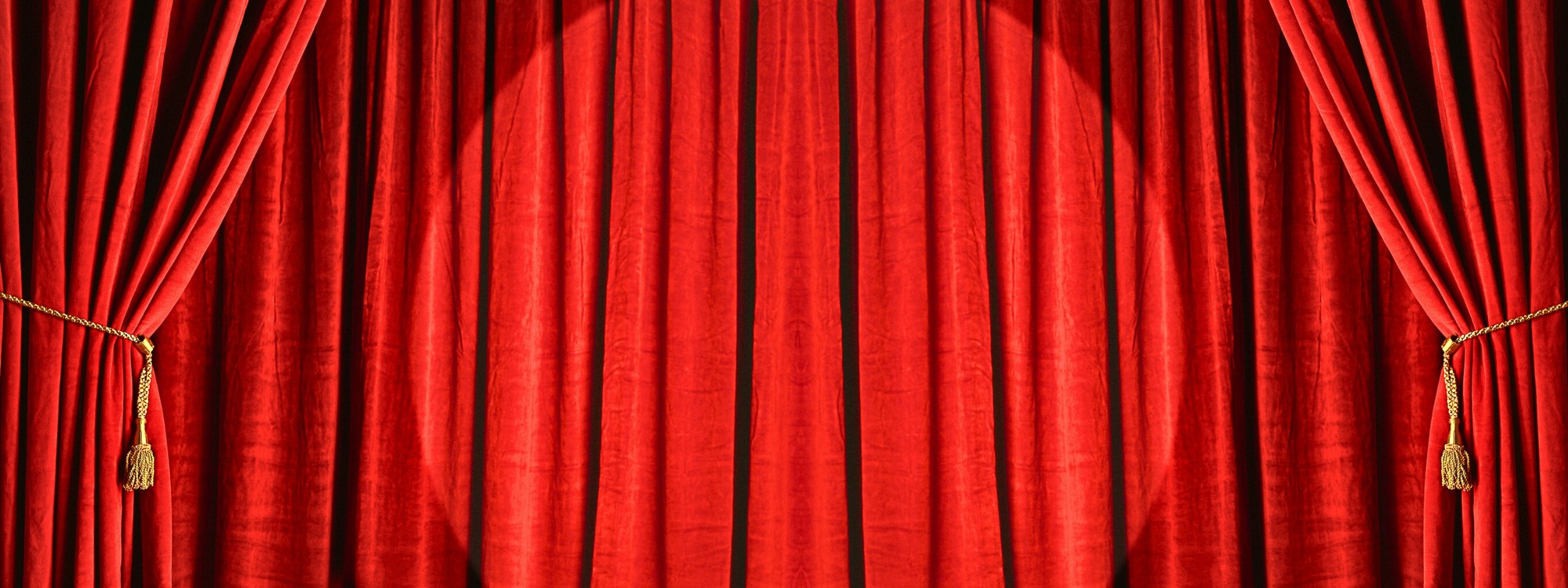  Newsletter page header  (1)