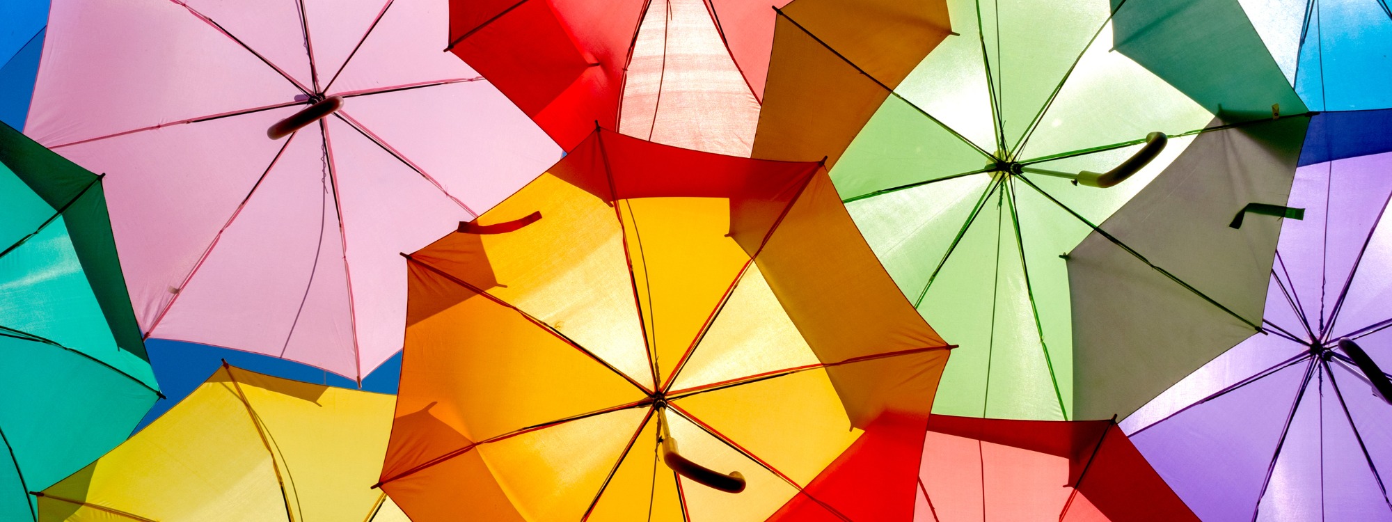  Newsletter page header  (1)