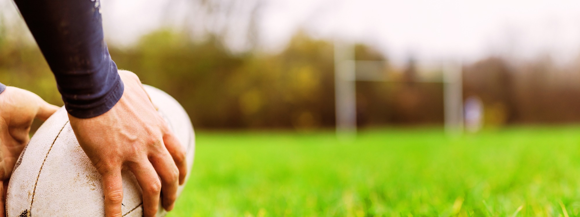  Newsletter page header  (2)