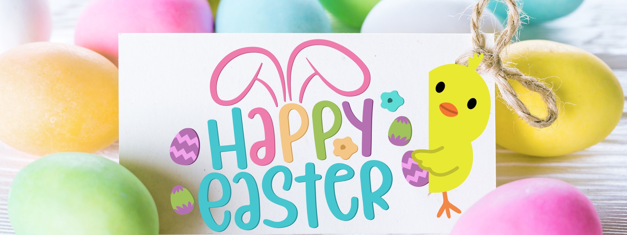  Newsletter page header  (11)