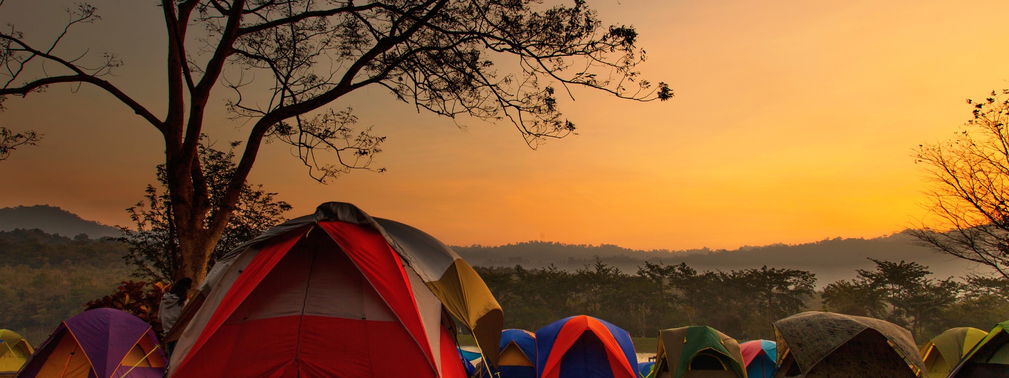  Newsletter page header  (4)