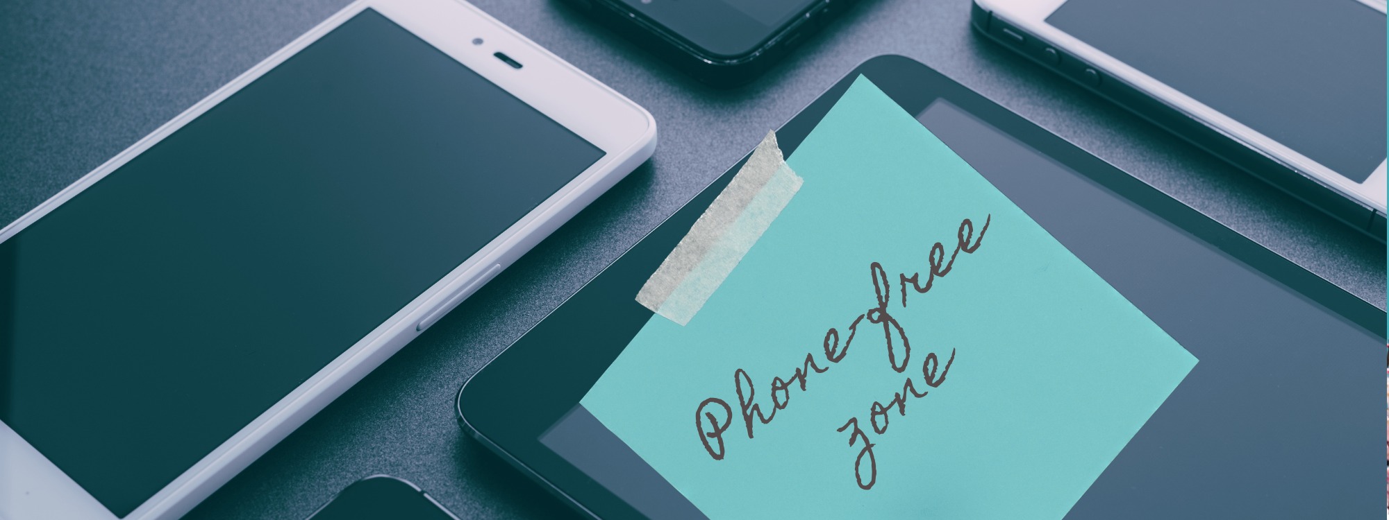  Newsletter page header  (7)