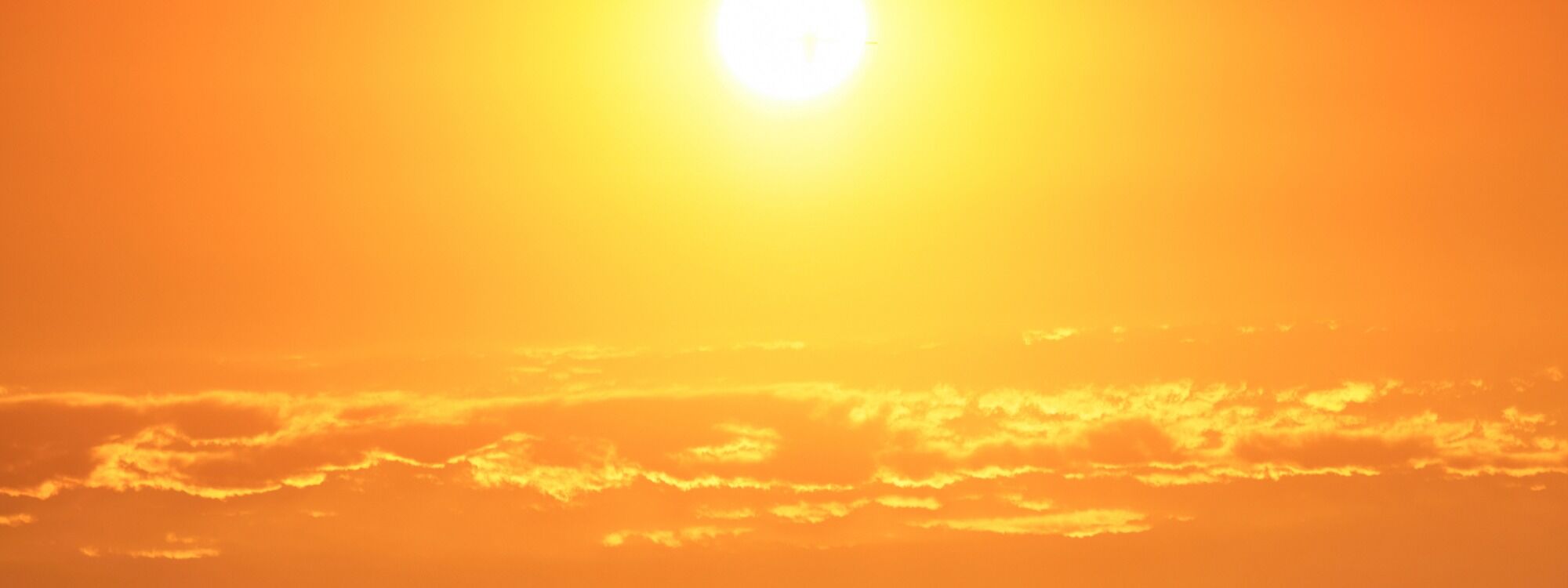  Newsletter page header  (11)