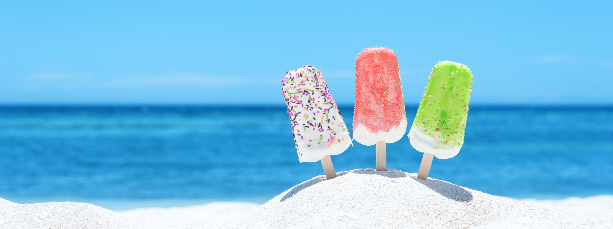  Newsletter page header  (18)