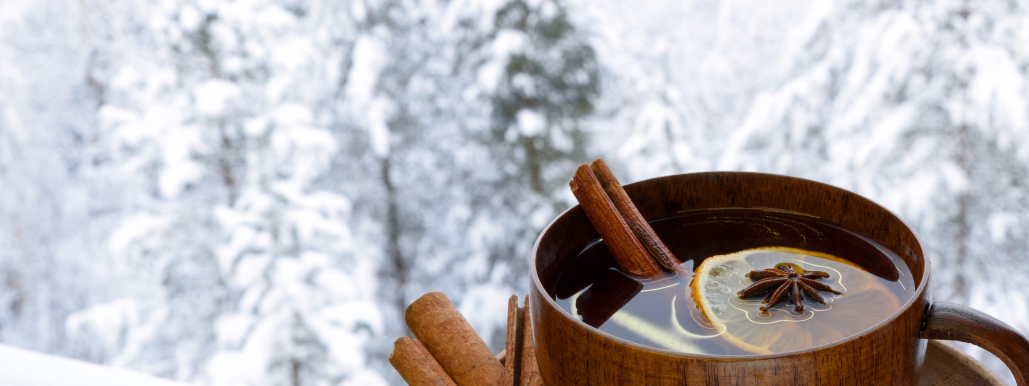  Newsletter page header  (1)