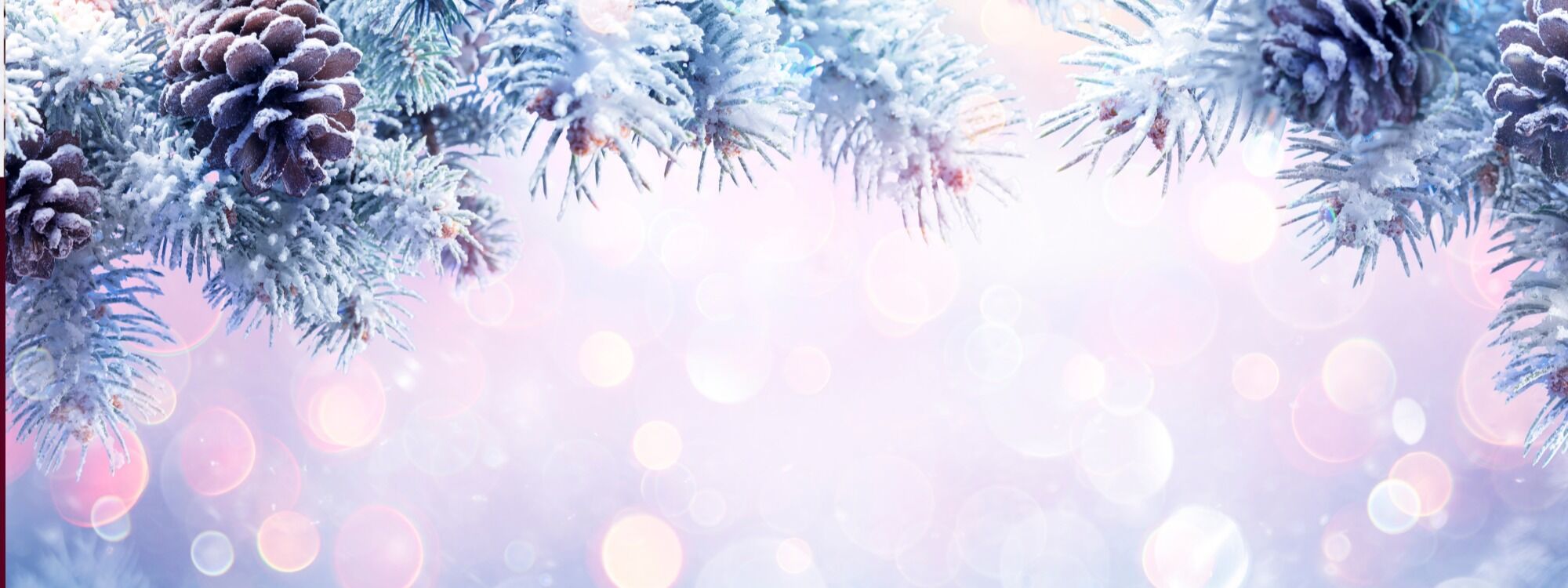  Newsletter page header  (2)