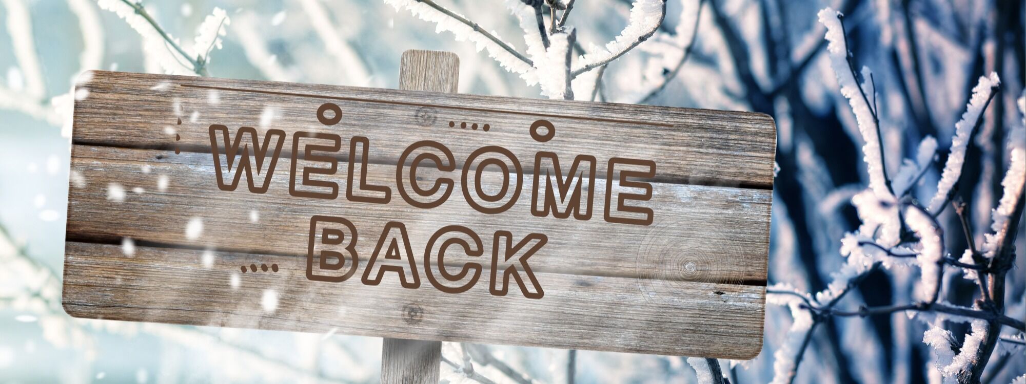  Newsletter page header