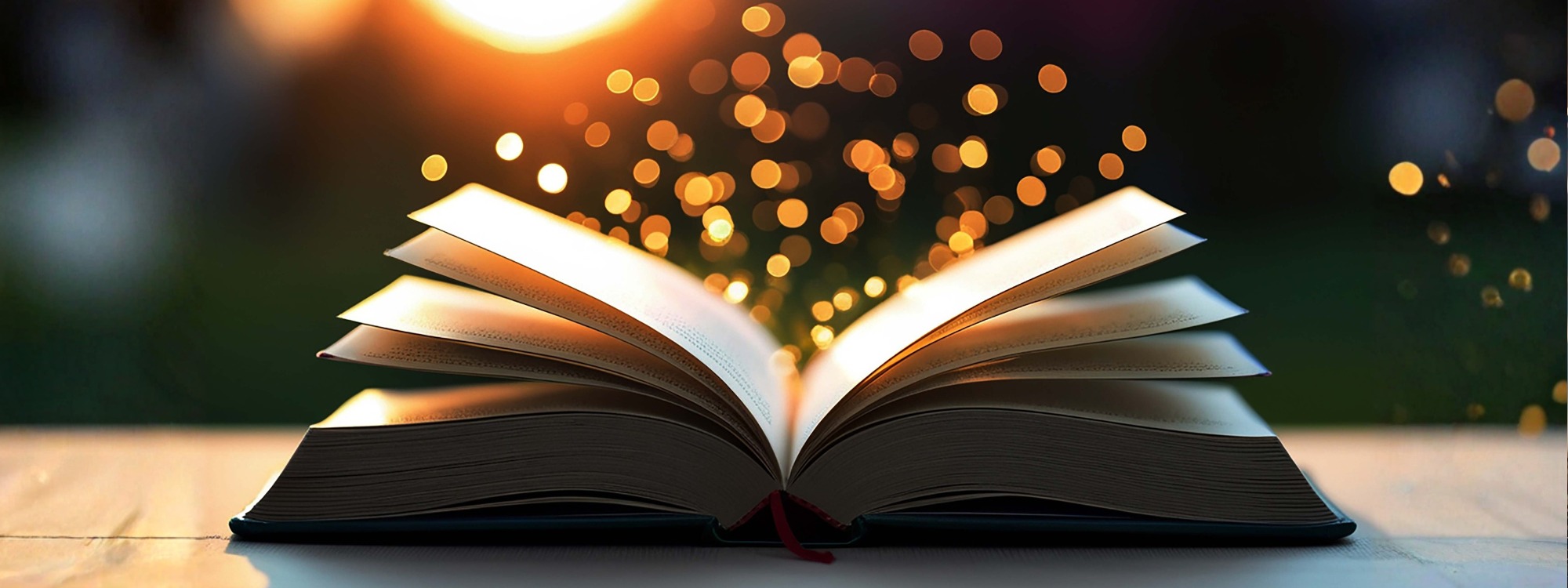  Newsletter page header  (2)